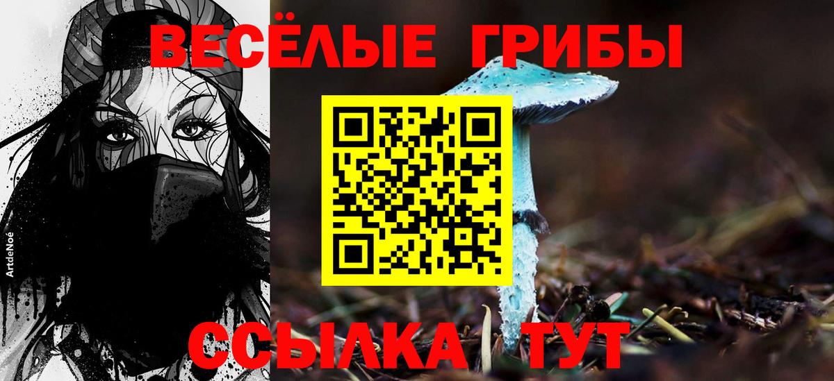 Псилоцибиновые грибы мицелий Сыктывкар